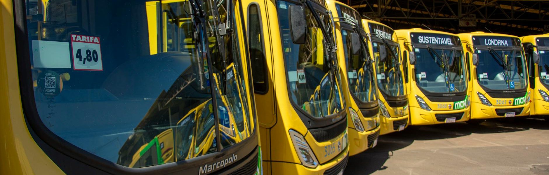 Bright yellow buses lined up at Londrina's public transport station under sunny skies.