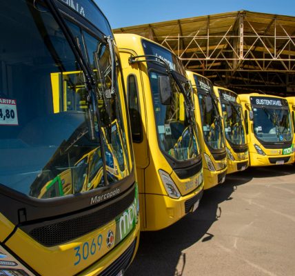 Bright yellow buses lined up at Londrina's public transport station under sunny skies.