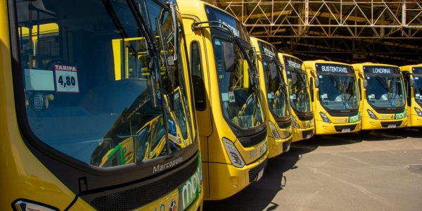 Bright yellow buses lined up at Londrina's public transport station under sunny skies.
