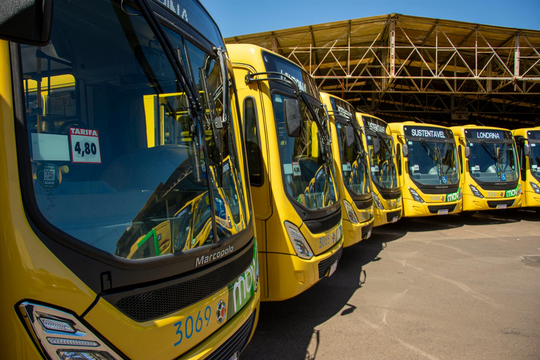 Bright yellow buses lined up at Londrina's public transport station under sunny skies.