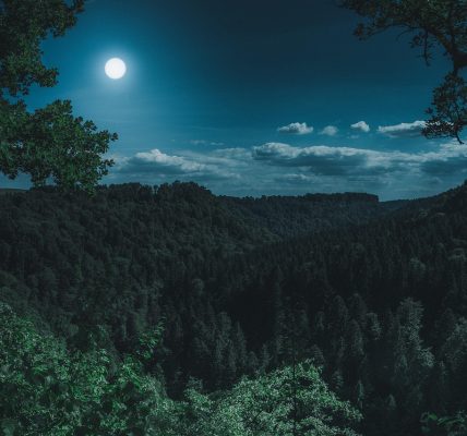 v157 ATS illustration for Volvo XC90 ATSv1.57 Complete Guide